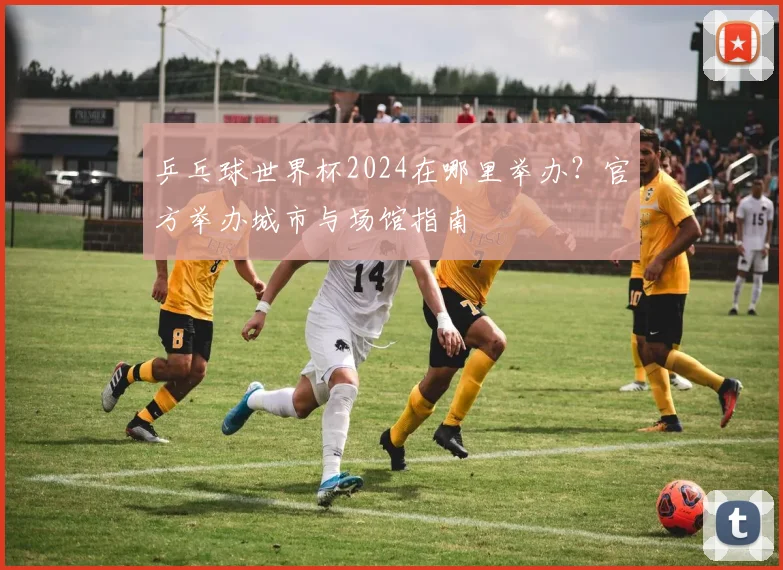 乒乓球世界杯2024在哪里举办？官方举办城市与场馆指南